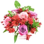 Цветы в коробке Краски жизни